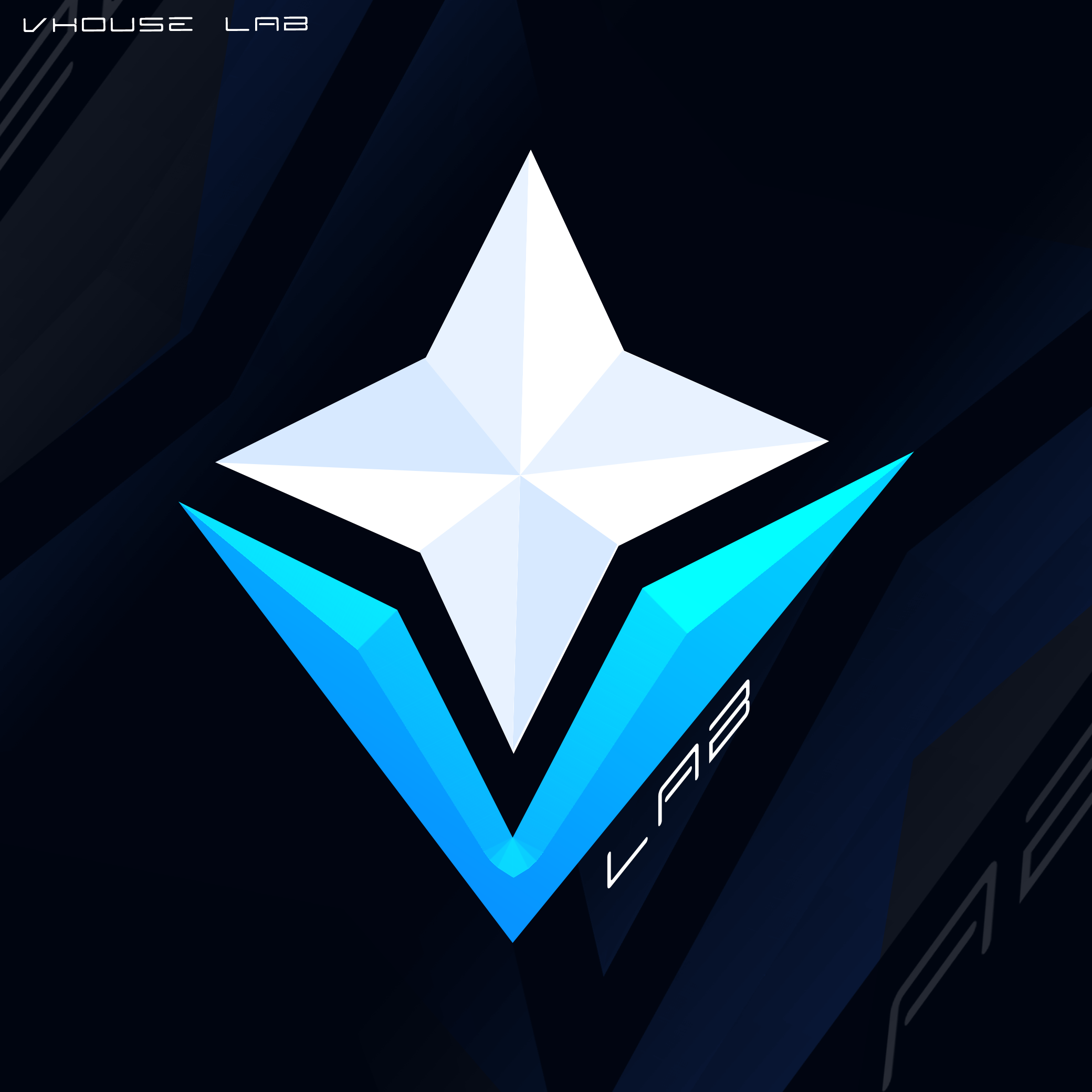 VHOUSE Logo